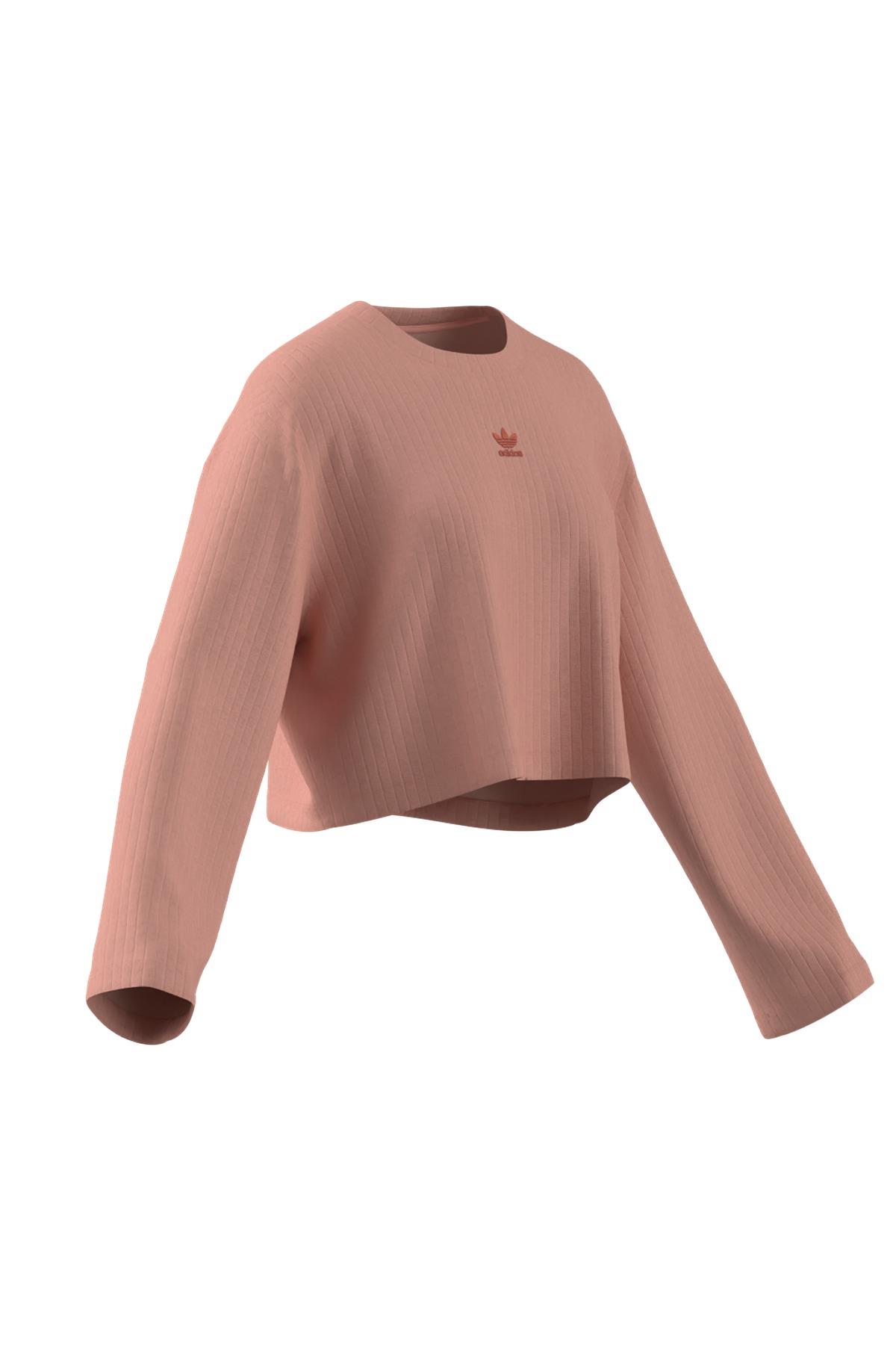 adidas Kadın   Sweatshirt ESS WR LS JD5122