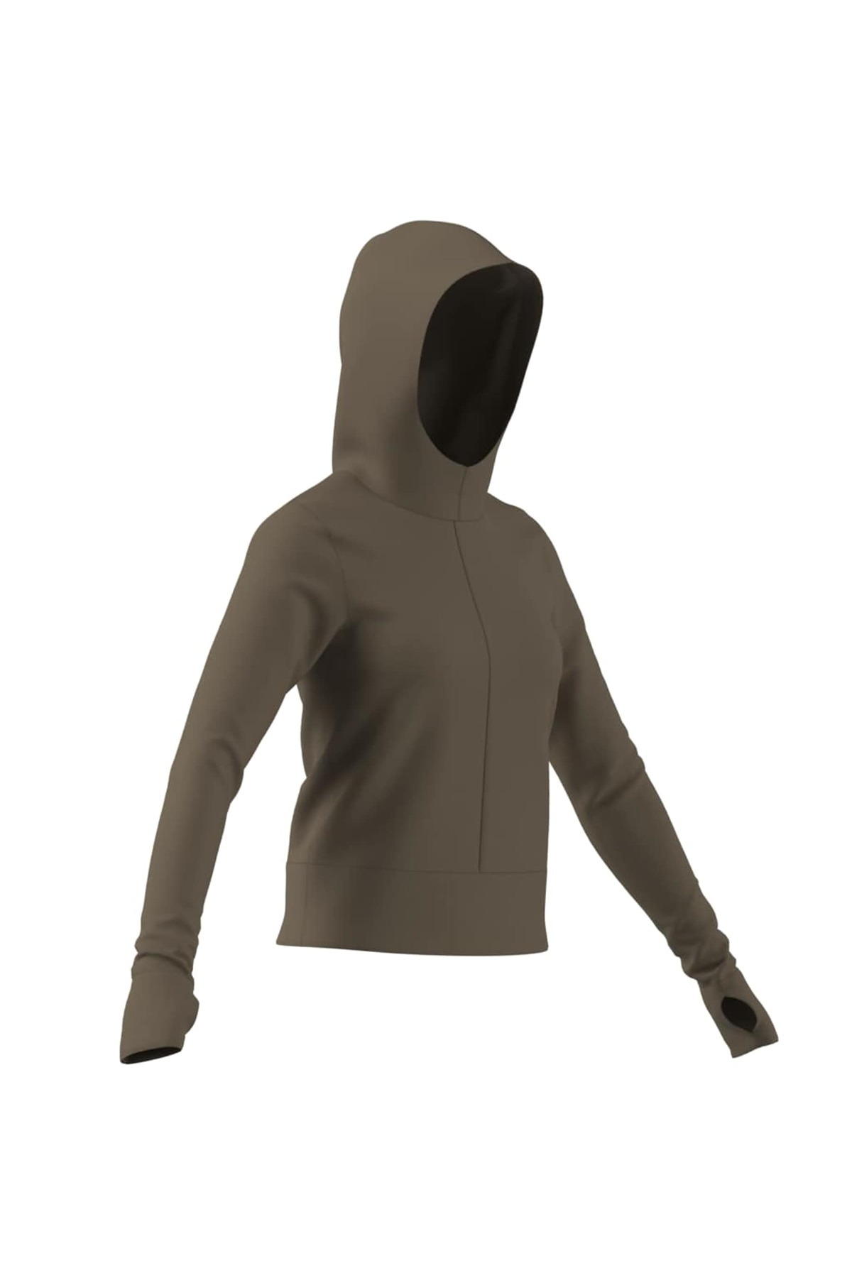 adidas Kadın Sweatshirt W SL SH HD KT0419