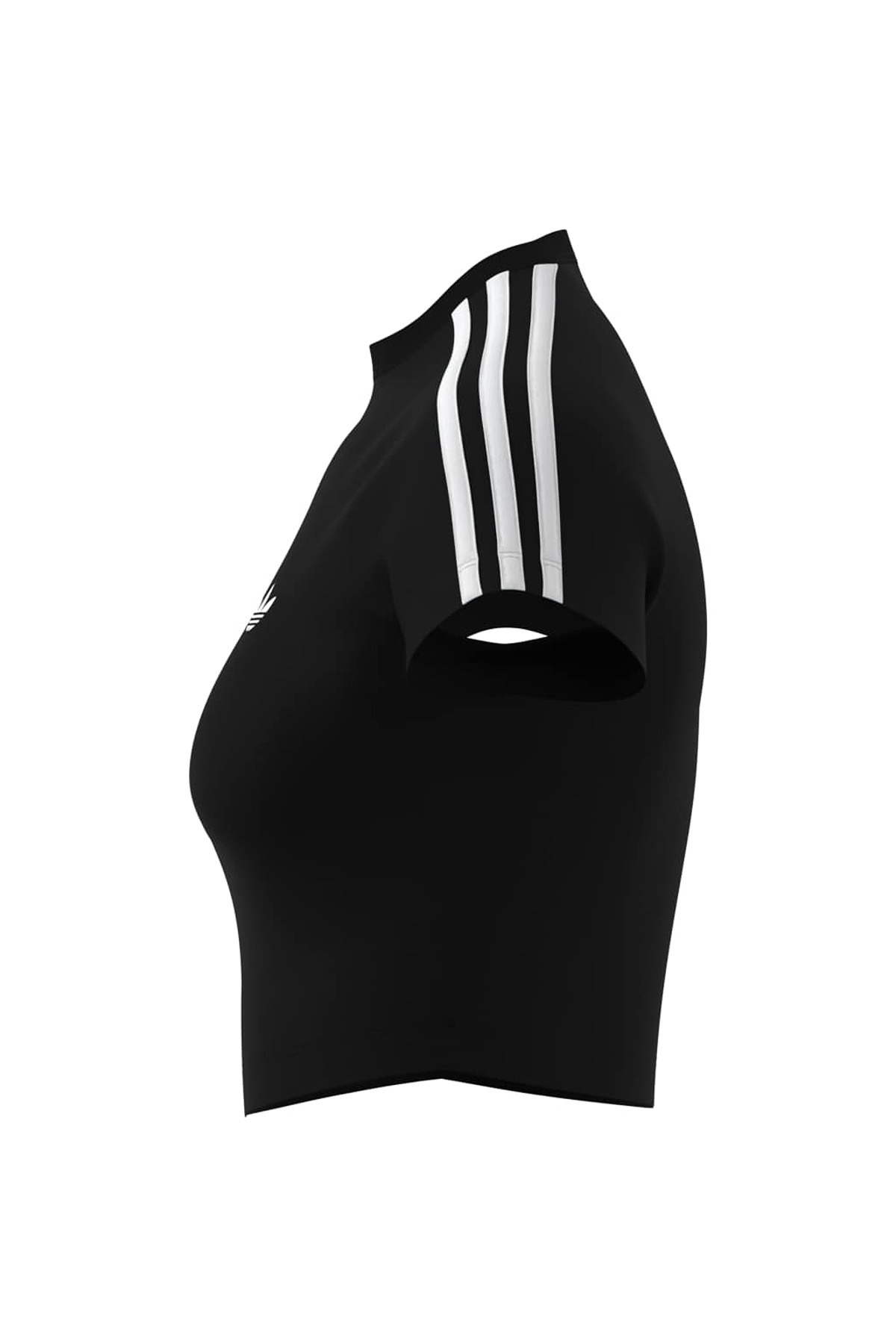 adidas Kadın T-shirt SST BABY TEE KG3700