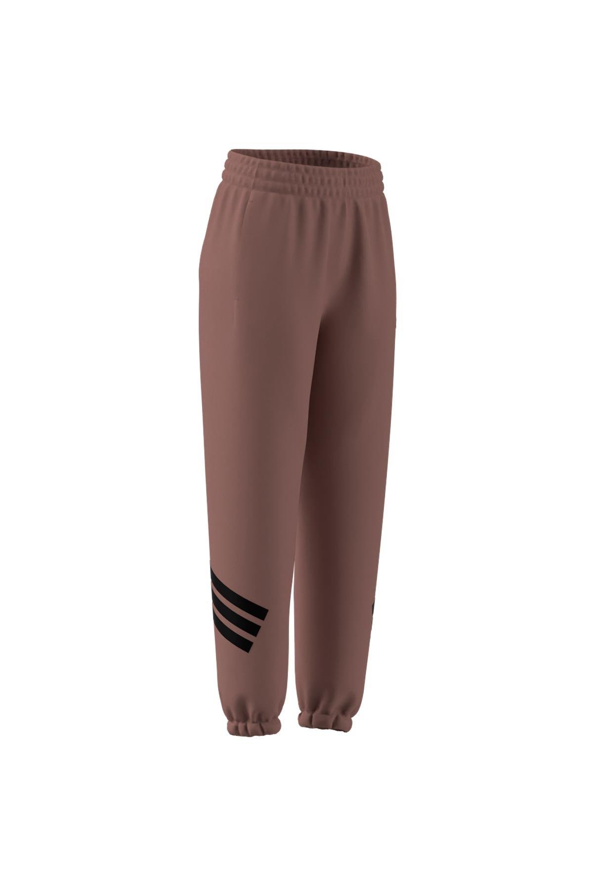adidas Pembe Kadın   Eşofman Altı W FI 3S REG PT JE0160