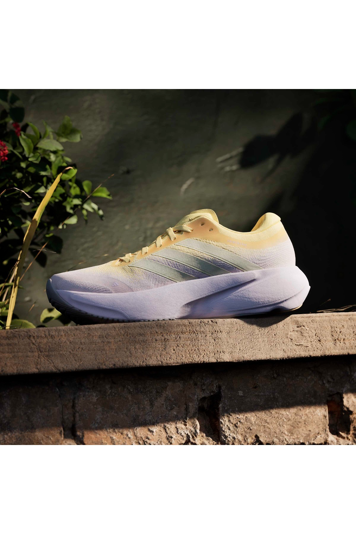 adidas SUPERNOVA RISE 3 W Mor Kadın   Koşu Ayakkabısı JR7377