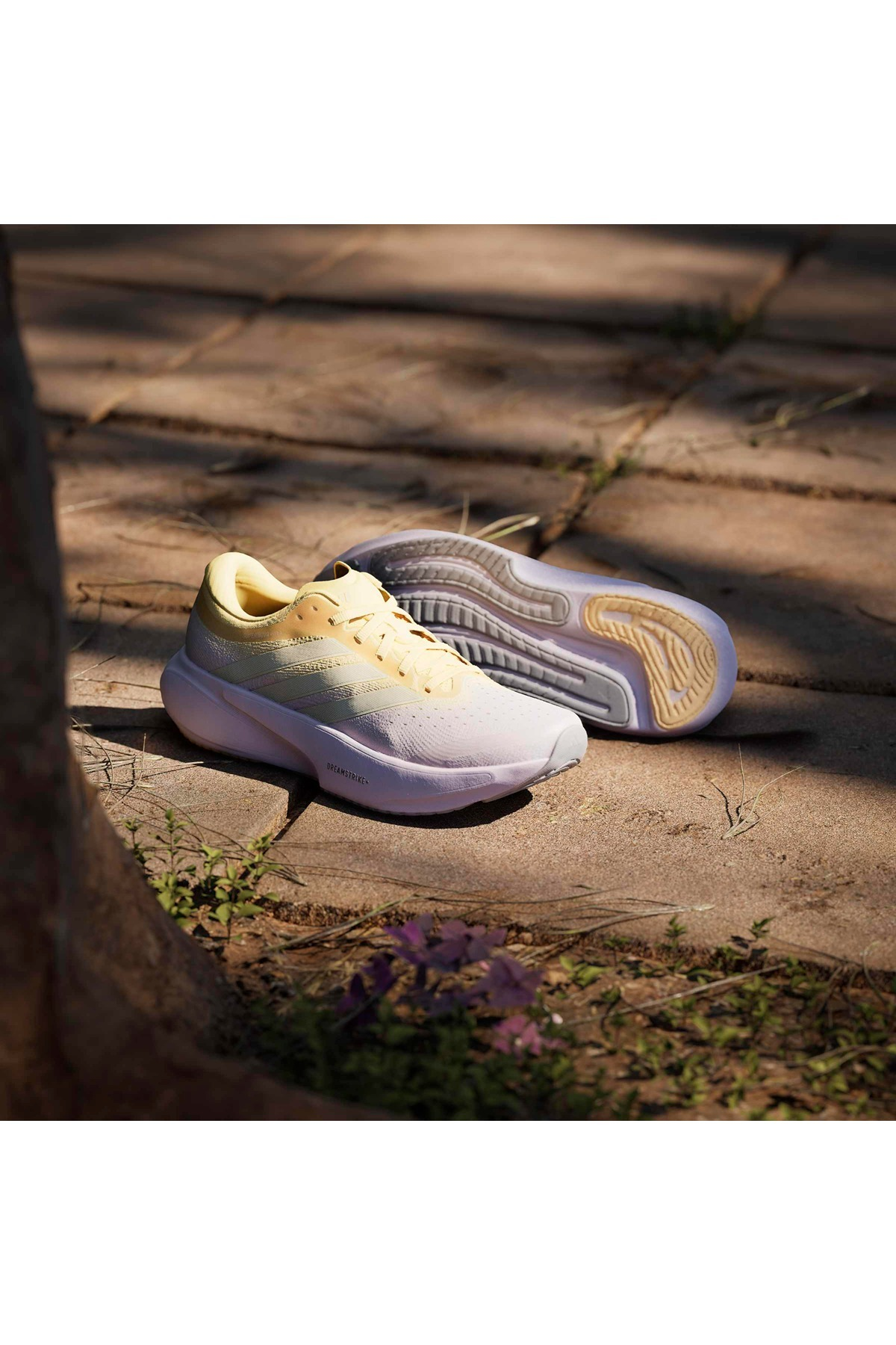 adidas SUPERNOVA RISE 3 W Mor Kadın   Koşu Ayakkabısı JR7377