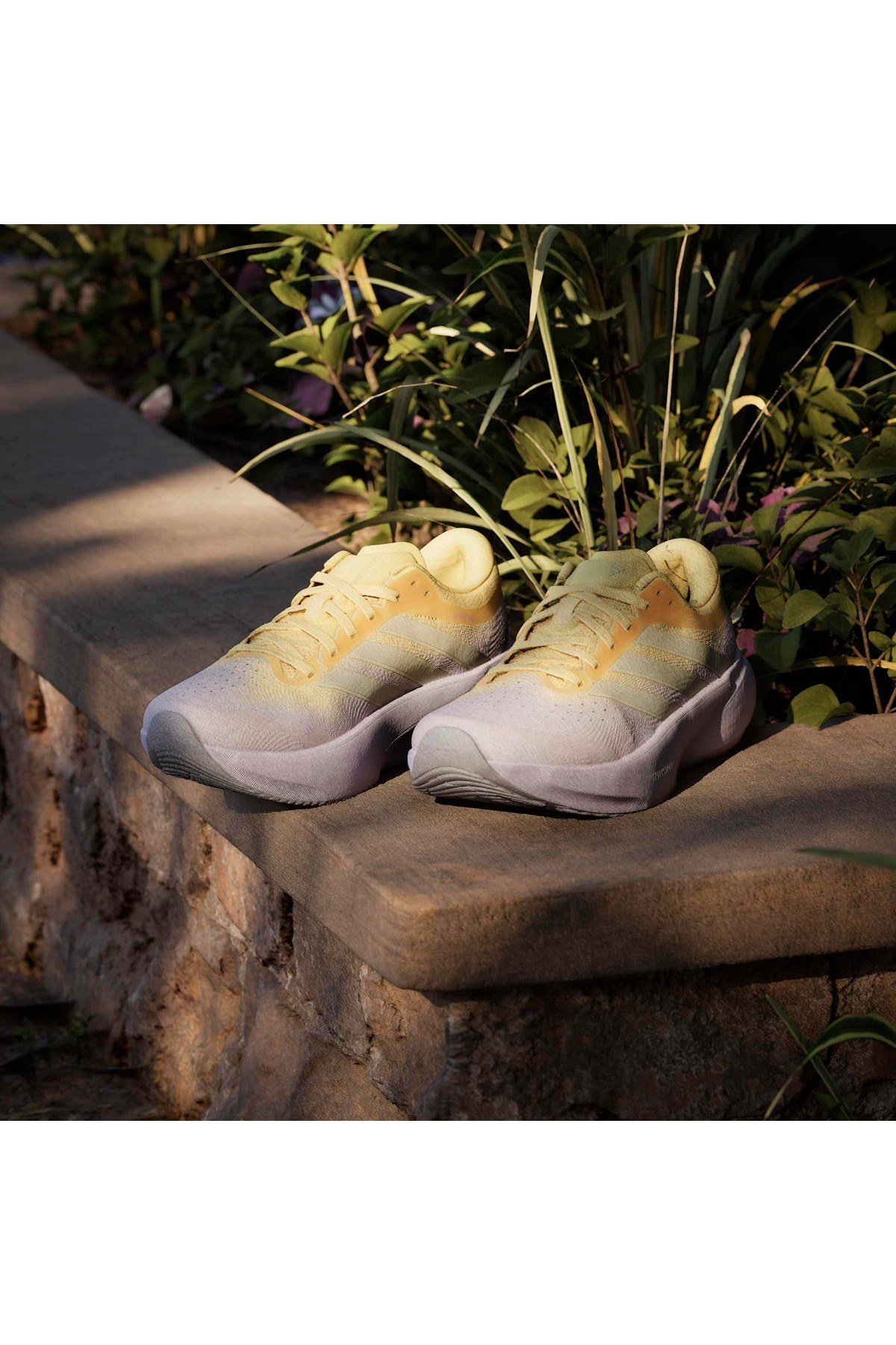 adidas SUPERNOVA RISE 3 W Mor Kadın   Koşu Ayakkabısı JR7377