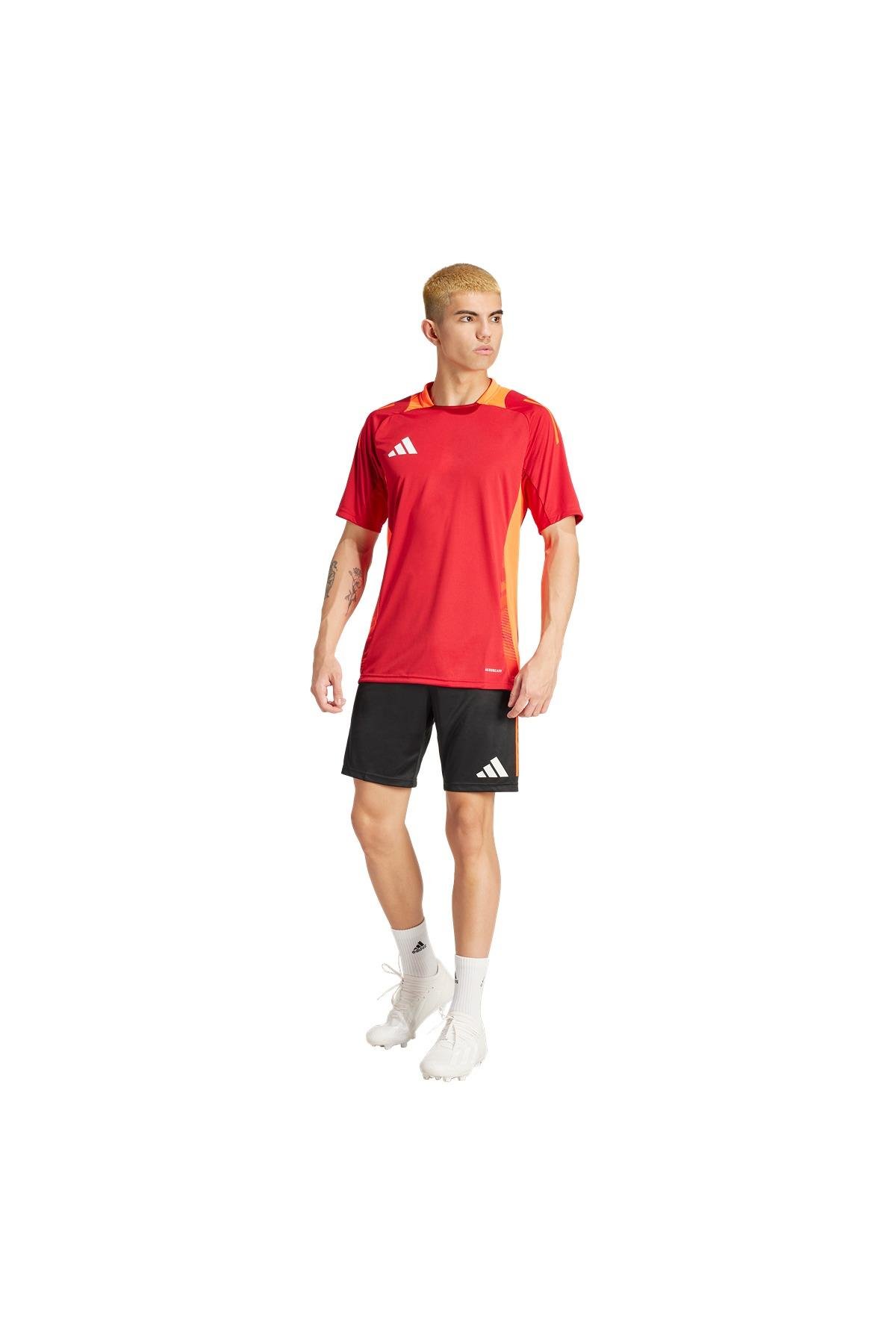 adidas TIRO24 C TR SHO IR5484