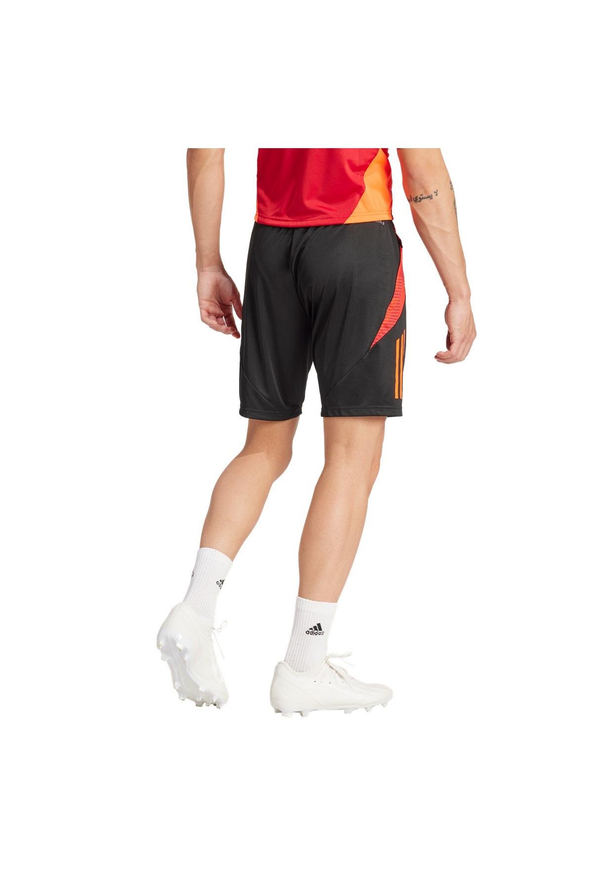 adidas TIRO24 C TR SHO IR5484