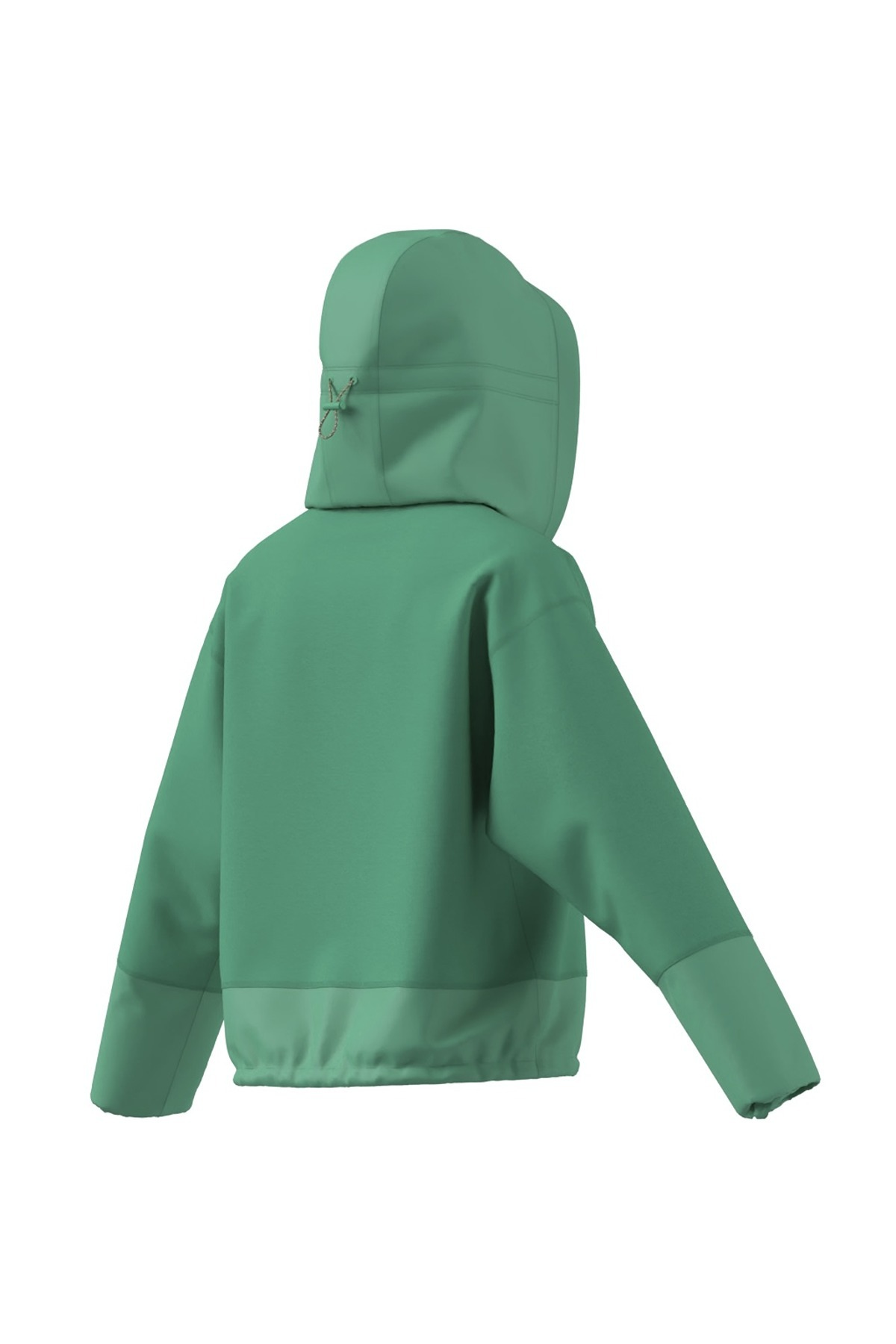 adidas Yeşil Kadın   Sweatshirt aSMC NPRNE J JG1071