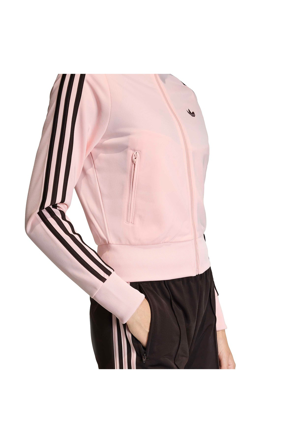 Ceket