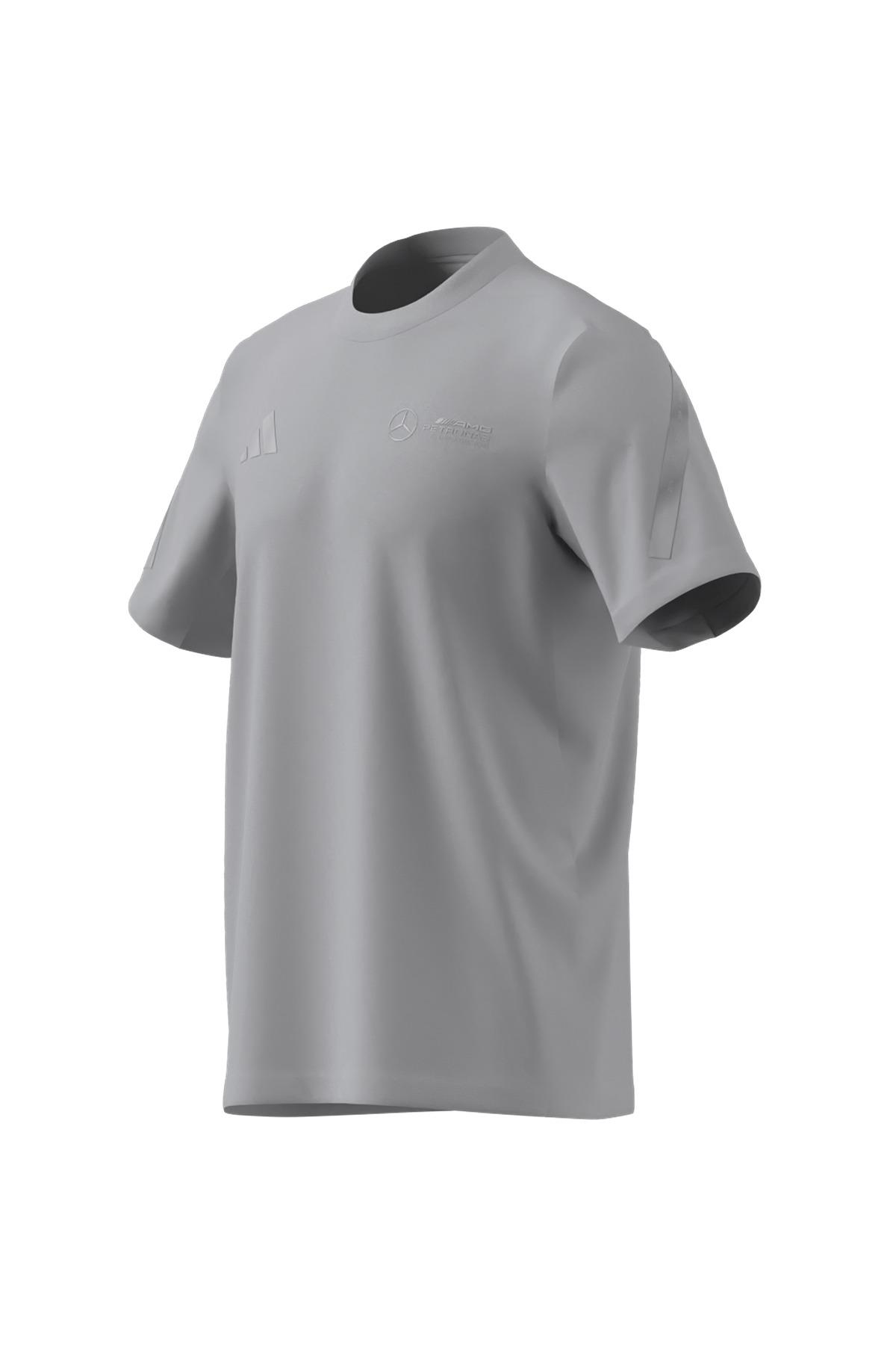 Erkek  Gri  T-Shirt MER SIL TEE M JW3481