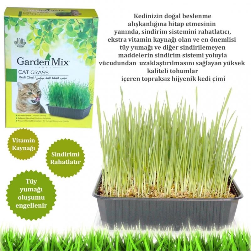 GARDEN MİXGarden Mix Kedi Çimi
