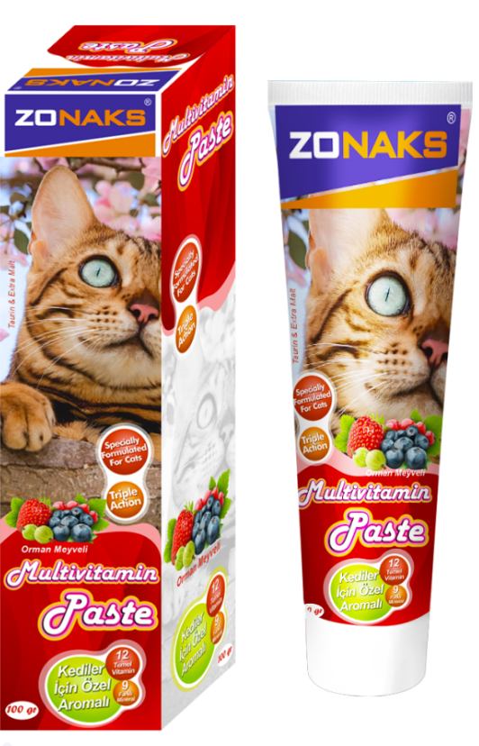 ZONAKSZonaks Multivitamin Paste Orman Meyveli 100 gr.