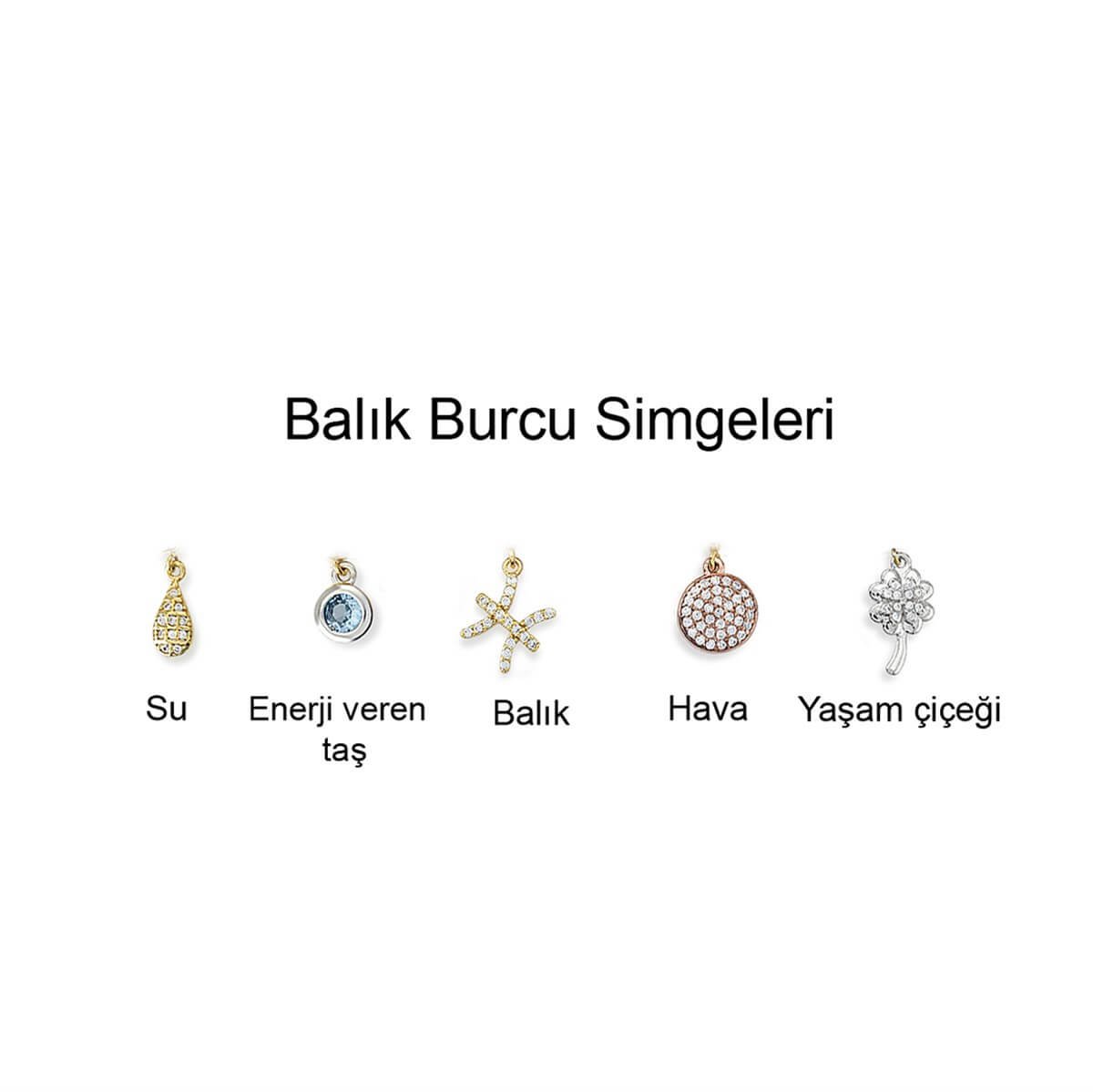 Balık Burcu Gümüş Kolye