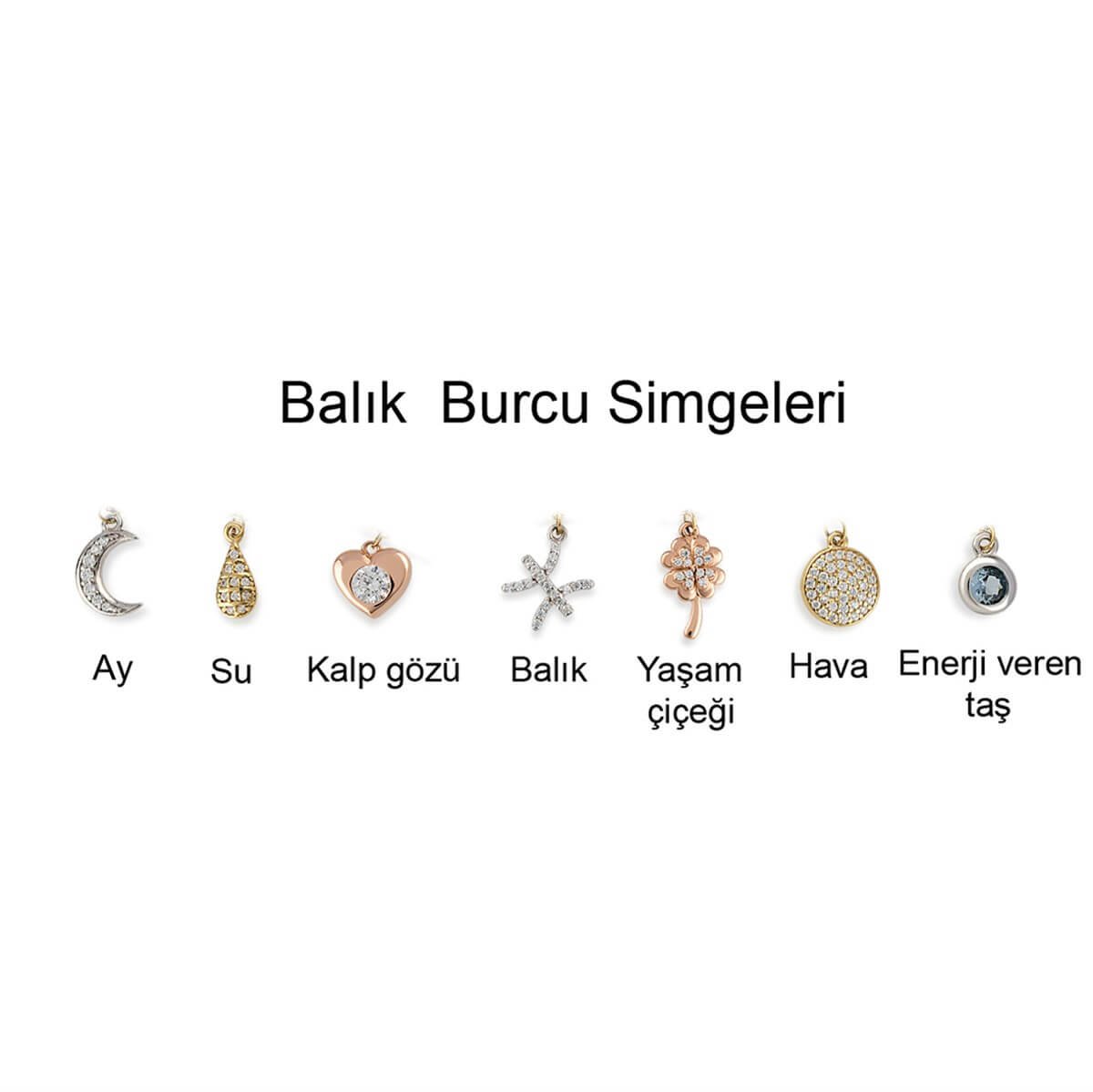Balık Burcu Gümüş Yıldız Haritası Seti