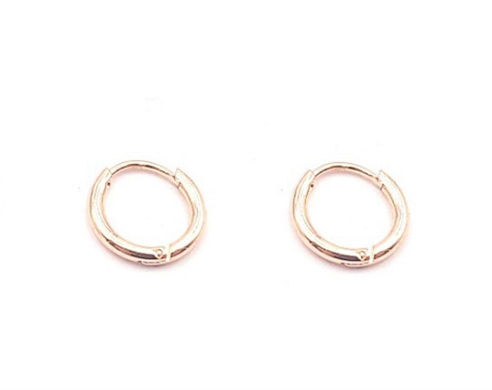 ​​​​​​​Welch Rose 1 Cm Halka Çelik Küpe