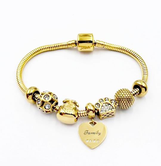 ​Welch Çelik Usd Charm ve Kalp Charm Bileklik