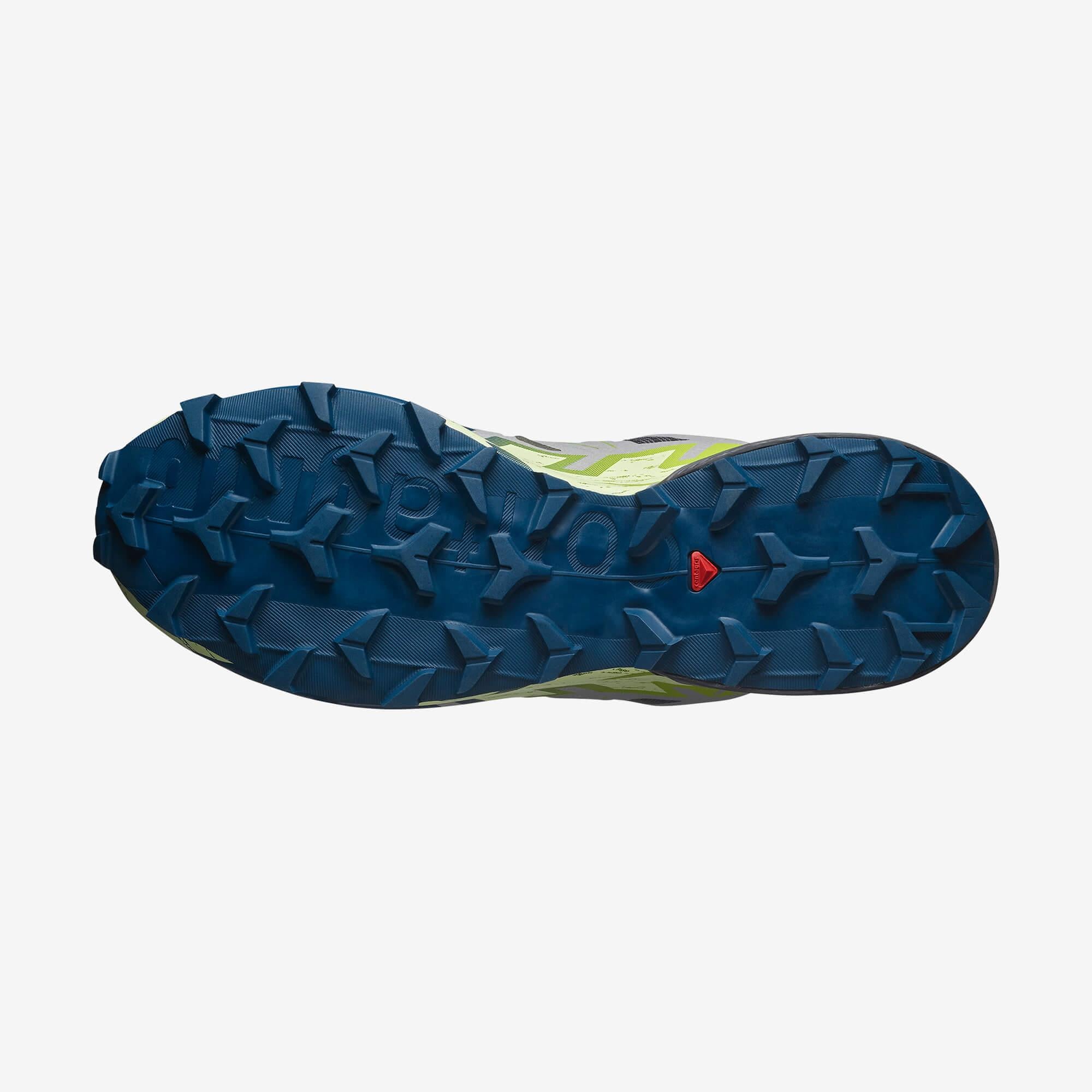 Salomon Gri Salomon Speedcross 6