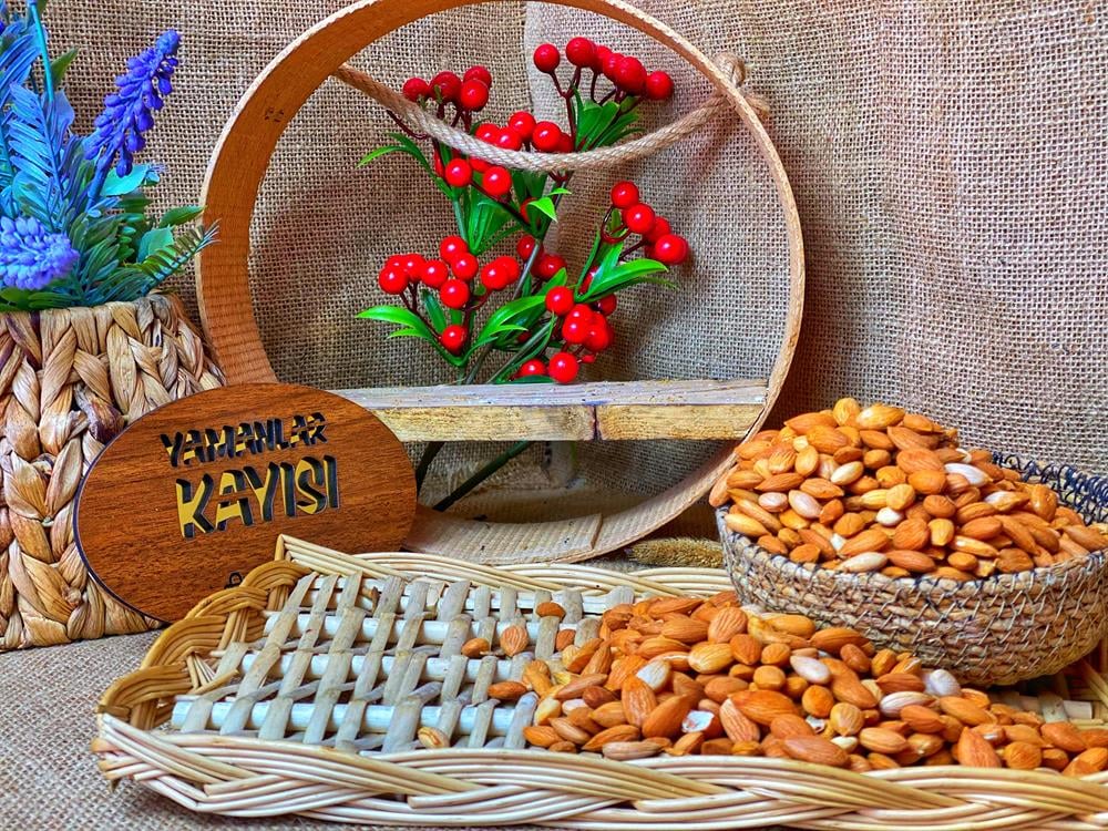 SARI KAYISI ÇEKİRDEĞİ