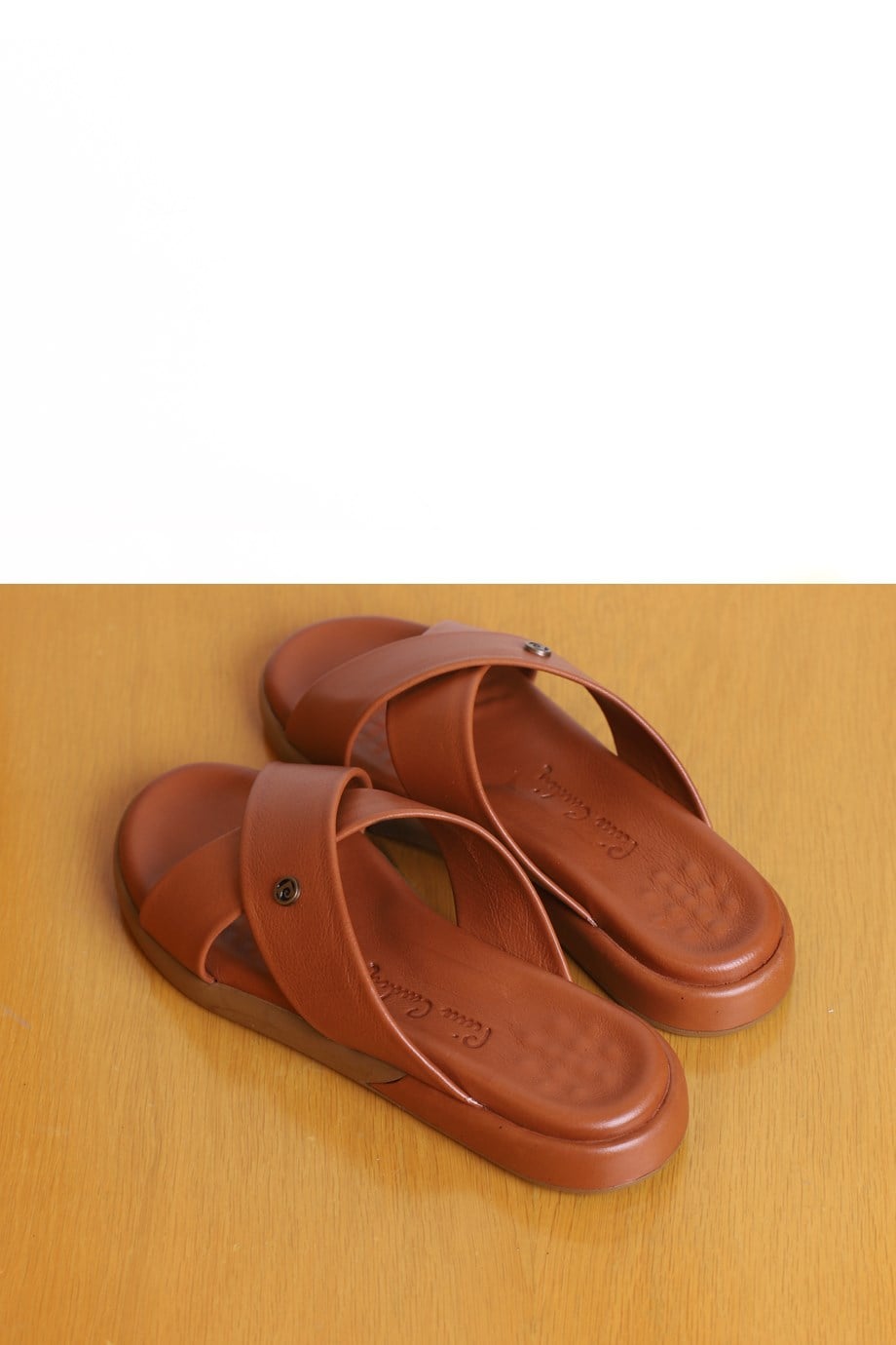 3001-3801-2Y2 P.CARDİN TERLİKTABA