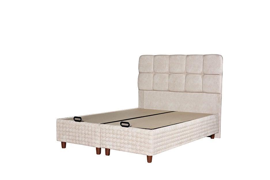 Begonya Başlıksız Baza