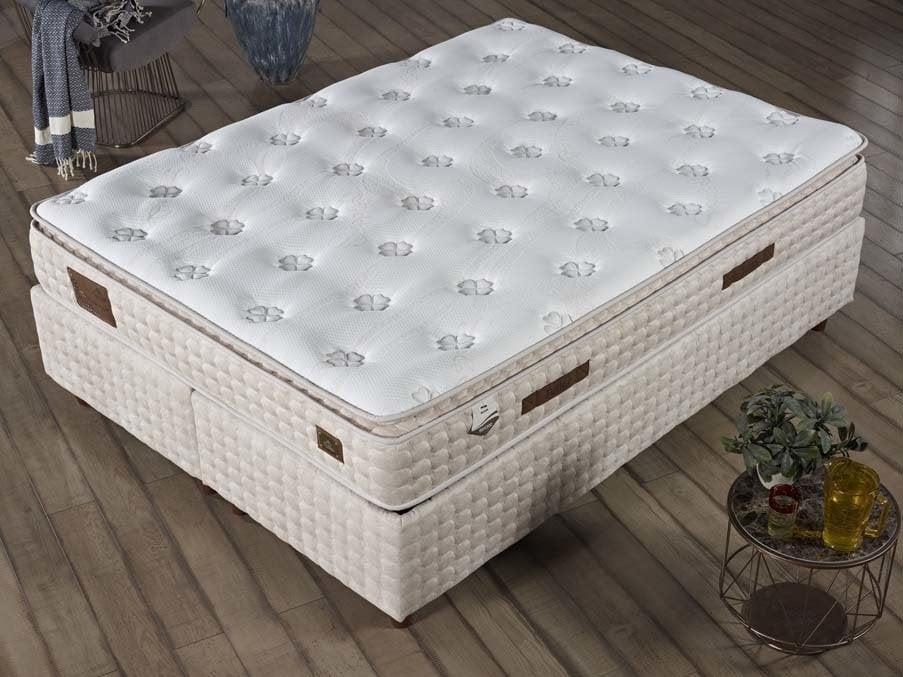 Begonya Pedli 4 Mevsim DSC Yay Ergonomik Yatak