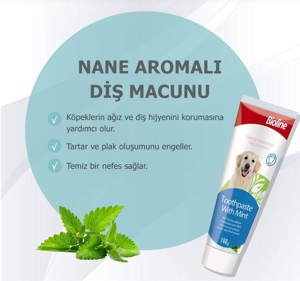 Bioline Nane Aromalı Köpek Diş Macunu 100 Gr