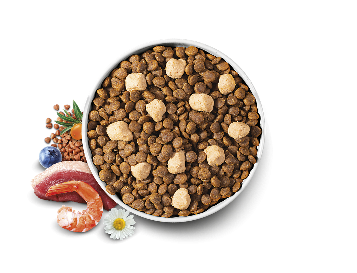 Brit Care Raw Delights Hipoalerjenik Hindi Etli ve Karidesli Tahılsız Küçük Irk Yetişkin Kedi Maması 2Kg