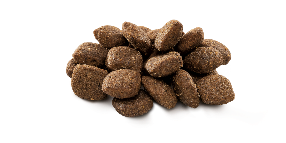 Brit Premium By Nature Sensitive Hassas Sindirim Kuzulu ve Pirinçli Yetişkin Köpek Maması 8Kg