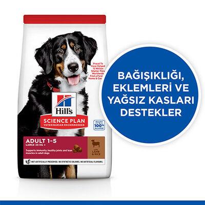 Hill's SCIENCE PLAN Adult Large Büyük Irk Kuzulu Yetişkin Köpek Maması 14Kg