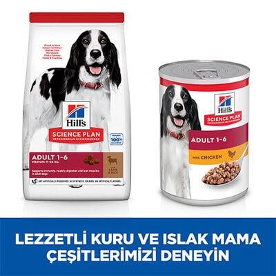 Hill's SCIENCE PLAN Adult Medium Orta Irk Kuzulu Yetişkin Köpek Maması 14Kg