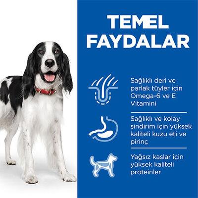 Hill's SCIENCE PLAN Adult Medium Orta Irk Kuzulu Yetişkin Köpek Maması 14Kg