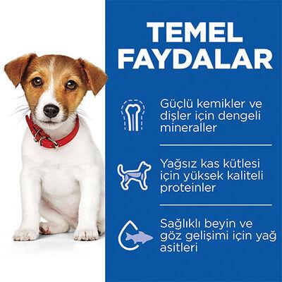 Hill's SCIENCE PLAN Kuzulu & Pirinçli Küçük ve Mini Irk Yavru Köpek Maması 3Kg