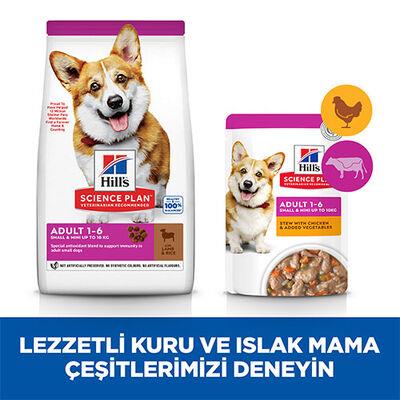 Hill's SCIENCE PLAN Kuzulu ve Pirinçli Küçük ve Mini Irk Yetişkin Köpek Maması 6Kg