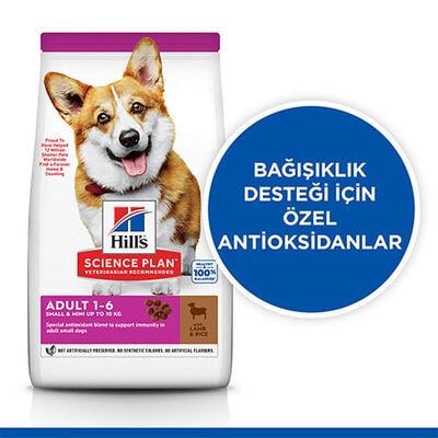 Hill's SCIENCE PLAN Kuzulu ve Pirinçli Küçük ve Mini Irk Yetişkin Köpek Maması 6Kg