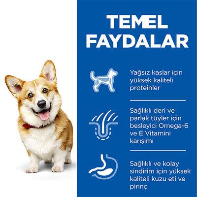Hill's SCIENCE PLAN Kuzulu ve Pirinçli Küçük ve Mini Irk Yetişkin Köpek Maması 6Kg