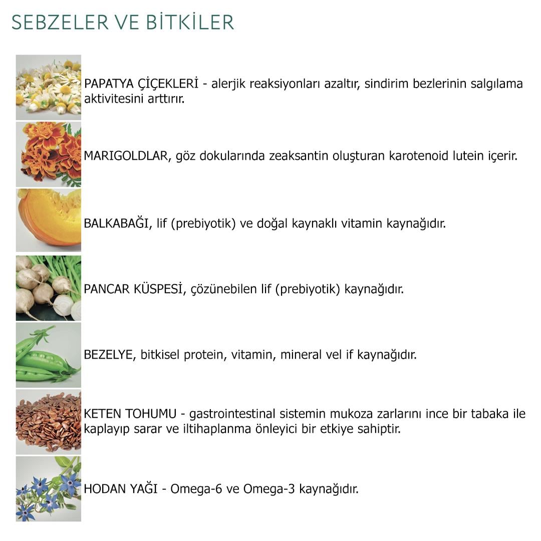 Optimeal Super Premium Kitten Tavuklu Yavru Kedi Yaş Maması 85 Gr X 12