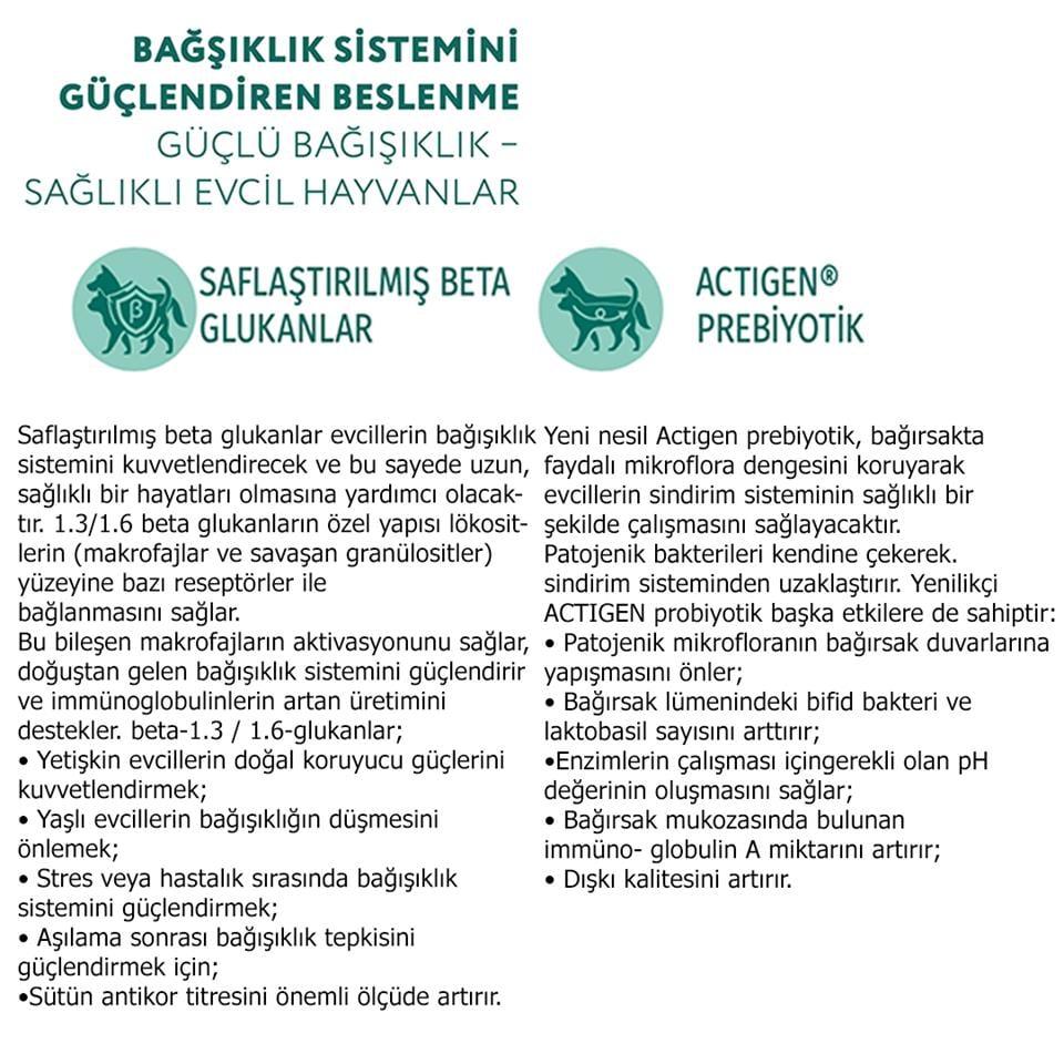 Optimeal Super Premium Sterilized Hindili Yulaflı Kısırlaştırılmış Yetişkin Kedi Maması 10 Kg