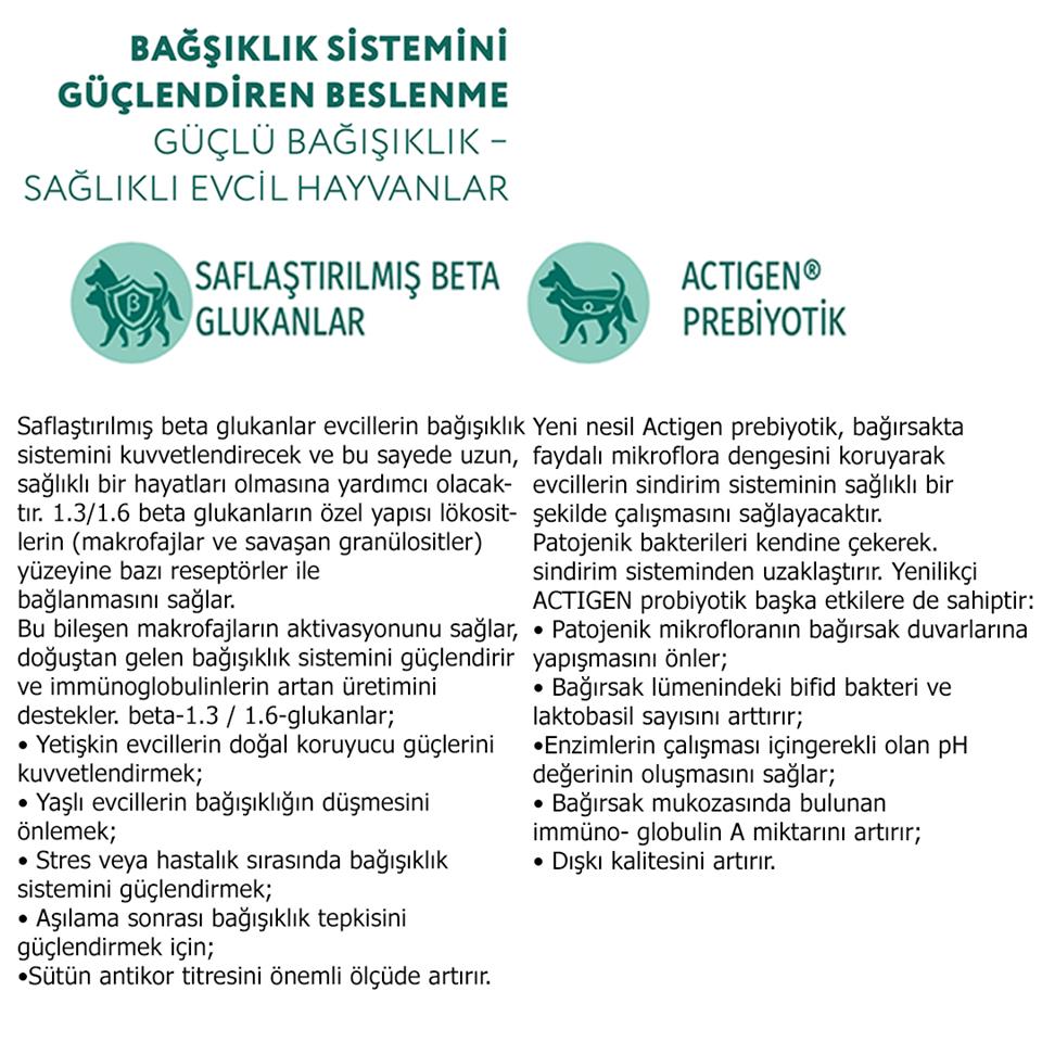 Optimeal Super Premium Sterilized Hindili Yulaflı Kısırlaştırılmış Yetişkin Kedi Maması 4 Kg