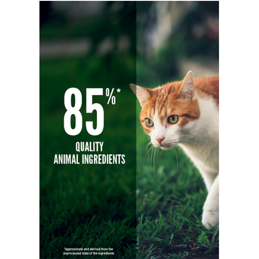Orijen FIT & TRIM Kilo Kontrolü Tahılsız Yetişkin Kedi Maması 5,4Kg