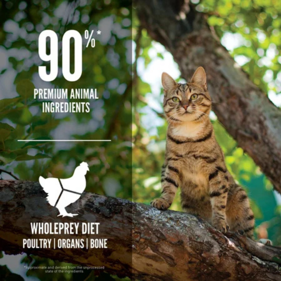 Orijen GUARDIAN 8 Tahılsız Yetişkin Kedi Maması 4,5Kg