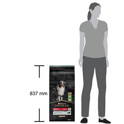 Pro Plan Medium Adult Sensitive Digestion Kuzulu Orta Irk Yetişkin Köpek Maması 14Kg