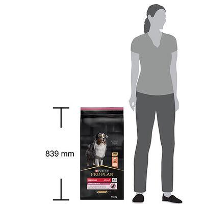 Pro Plan Medium Adult Sensitive Skin Somonlu Orta Irk Yetişkin Köpek Maması 14Kg