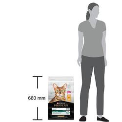 Pro Plan Renal Plus Adult Tavuklu Yetişkin Kedi Maması 10Kg