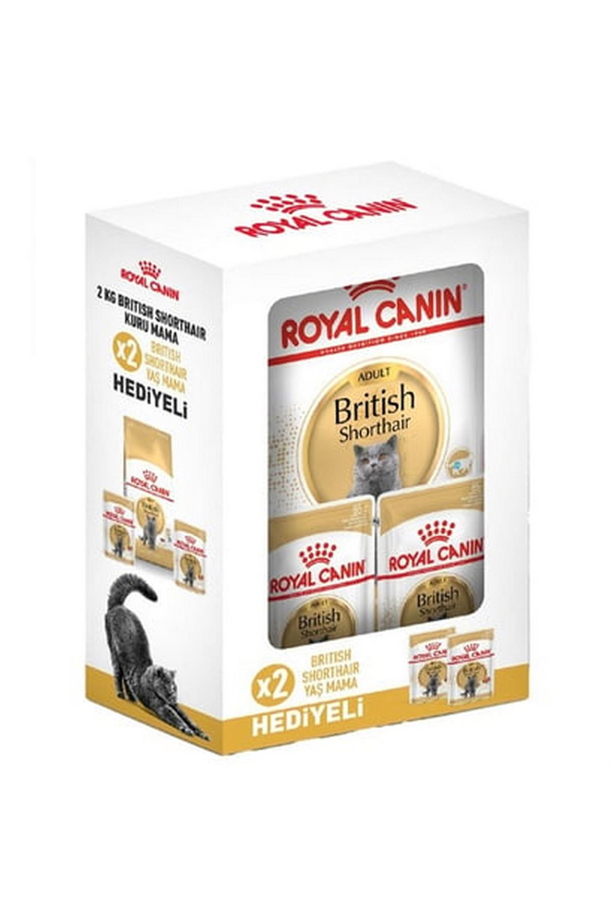 Royal Canin® British Shorthair Yetişkin Kedi Maması 2 Kg + 2 Adet Yaş Mama Hediyeli