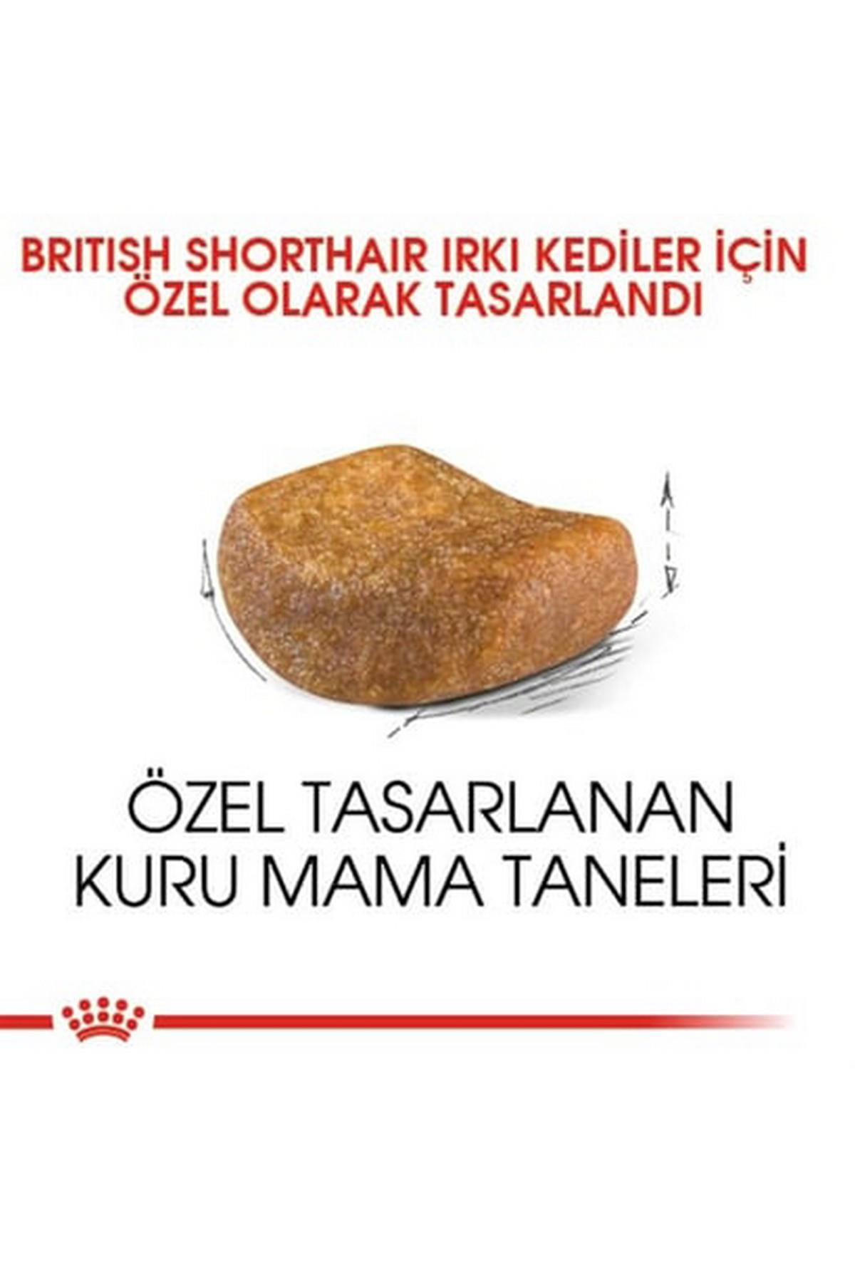 Royal Canin® British Shorthair Yetişkin Kedi Maması 2 Kg + 2 Adet Yaş Mama Hediyeli