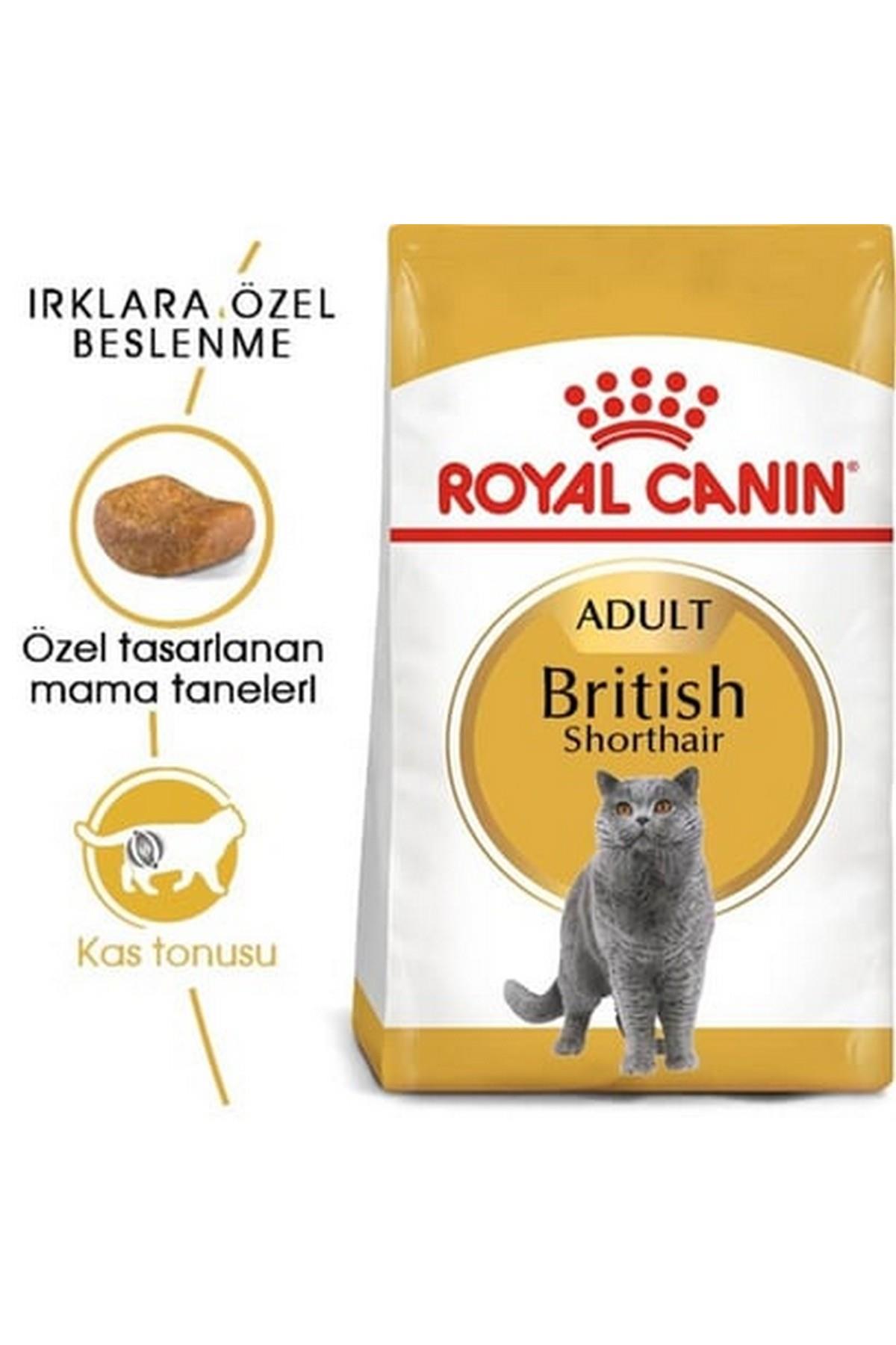 Royal Canin® British Shorthair Yetişkin Kedi Maması 2 Kg + 2 Adet Yaş Mama Hediyeli