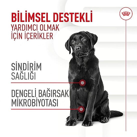 Royal Canin Digestion Chews Sindirim Sağlığını Destekleyen Köpek Ödül Maması 160Gr