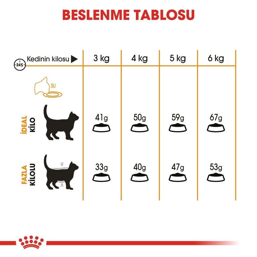 Royal Canin Hair & Skin Care Deri Ve Tüy Sağlığı Destekleyici Yetişkin Kedi Maması 10Kg