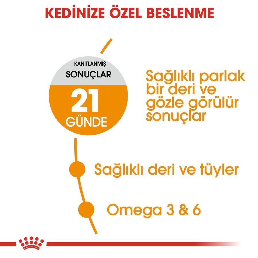 Royal Canin Hair & Skin Care Deri Ve Tüy Sağlığı Destekleyici Yetişkin Kedi Maması 10Kg