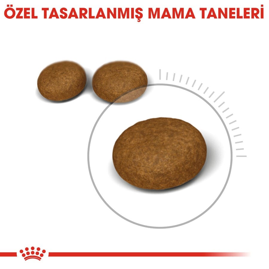 Royal Canin Hair & Skin Care Deri Ve Tüy Sağlığı Destekleyici Yetişkin Kedi Maması 10Kg