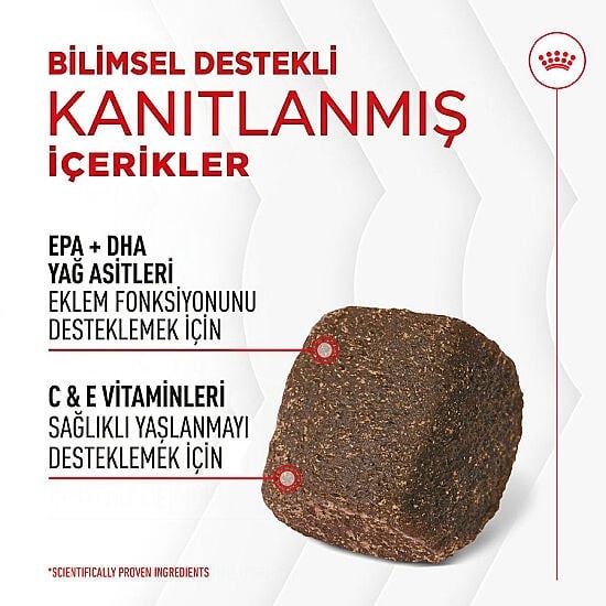 Royal Canin Joint & Ageing Chews Eklem Sağlığını Destekleyen ve Yaşlanma Karşıtı Yetişkin Köpek Ödül Maması 240Gr