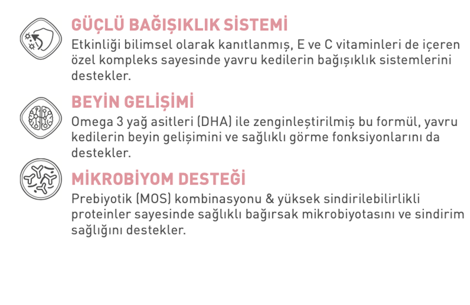 Royal Canin® Kitten Yavru Kedi Maması 2 Kg